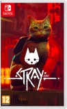 Stray NSW