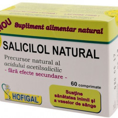 Salicilol Natural, 60 tablete, Hofigal