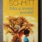 Eric-Emmanuel Schmitt - Felix şi izvorul invizibil