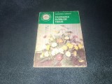 ALEXANDRINA AMARIUTEI - PASTRAREA FLORILOR TAIATE