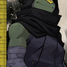 Teenage Mutant Ninja Turtles: The IDW Collection Volume 13