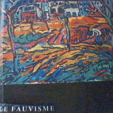 Album LE FAUVISME ( Skira format mic, 1959 )