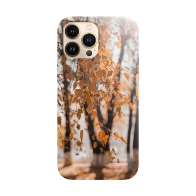 Husa compatibila cu Apple iPhone 14 Plus model Ready for autumn, Silicon, TPU, Viceversa foto