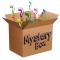Mistery Box cadou surpiza pentru Fetite 4 - 10 ani Extra Large