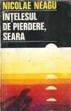 Intelesul de pierdere, seara - Nicolae Neagu