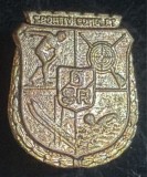 SPORTIV COMPLET,,OSR&quot;INSIGNA REGALISTA(18X14mm.)