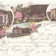 824 - SINAIA, Prahova, Litho, Romania - old postcard - used - 1898