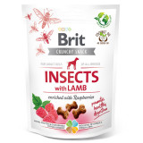 Brit Care Crunchy Cracker, Insecte și Miel cu Zmeură, recompense fară cereale c&acirc;ini, 200g