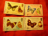 Serie mica Belize 1982 - Fluturi , 4 valori, Nestampilat