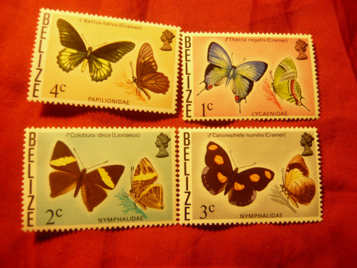 Serie mica Belize 1982 - Fluturi , 4 valori
