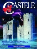 Castele - Lesley Sims