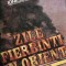 Zile fierbinti in Orient Craciun Ionescu