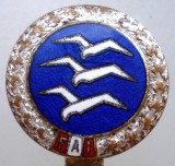 I.181 INSIGNA AVIATIE FAI FEDERATIA AERONAUTICA INTERNATIONALA PILOT PLANOR