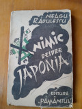 Nimic despre Japonia - Neagu Radulescu