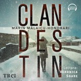 Cumpara ieftin Clandestin - Audiobook - Marin Mălaicu-Hondrari