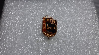 insigna AMEFA Arad foto