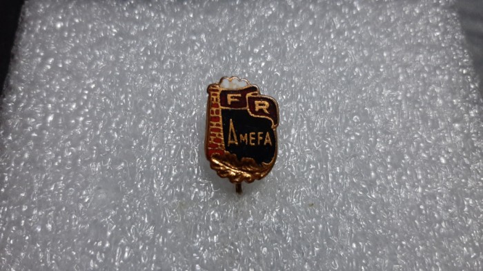 insigna AMEFA Arad