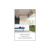 Amish Grace: How Forgiveness Transcended Tragedy
