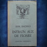 Intr-un auz de floare - Dim Raichici - Carte de poezie