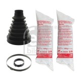 Febi Bilstein Ansamblu burduf, articulatie planetara