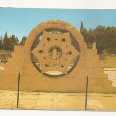 FA44-Carte Postala- ISRAEL - Jericho, Hisham's Palace, necirculata