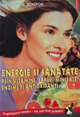 Energie si sanatate prin vitamine, saruri minerale, enzime si antioxidanti - Valerian A. Schipor
