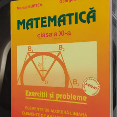 MATEMATICA CLASA A XI A EXERCITII SI PROBLEME ALGEBRA LINIARA ANALIZA MATEMATICA