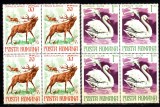 A11 TX10 2 - 1977 - Animale ocrotite in Romania - perechi de cate patru timbre, Fauna, Nestampilat