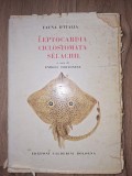 Fauna d`Italia: Leptocardia, Ciclostomata, Selachil- Enrico Tortonese
