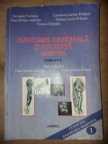 Anatomie regionala si aplicata: Membre- Horatiu Varlam, Dan Stefan Antohe