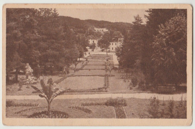 1945 Romania, CP ilustrata Baile Govora Parcul, sepia necirculata foto