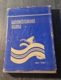 Gastroenterologie clinica Benedict Gheorghescu