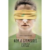 Nem a szemeddel l&aacute;tsz - Eric Lindstrom