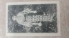 Colecția Al.Antoniu- Țărancă din Rucar.(Arges), Necirculata, Fotografie
