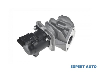 Egr Citroen Jumpy (2007-&amp;gt;) #1 foto