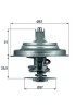 MAHLE TX 25 87D termostat,lichid racire