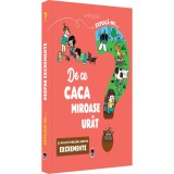 Explica-mi de ce caca miroase urat, Larrousse, Rao