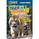 Tiger in Trouble!