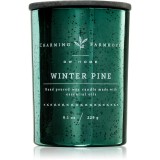 DW Home Charming Farmhouse Winter Pine lum&acirc;nare parfumată 230 g