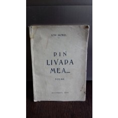 DIN LIVADA MEA - POEME DE ION MOREL
