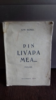 DIN LIVADA MEA - POEME DE ION MOREL foto