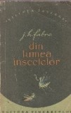 Din lumea insectelor