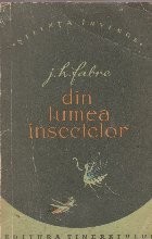 Din lumea insectelor foto