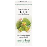 Extract Muguri Alun 50ml PlantExtrakt