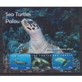 PALAU 2011 FAUNA MARINA TESTOASE