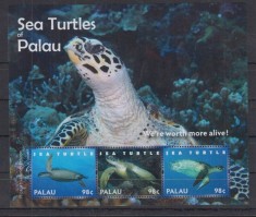 PALAU 2011 FAUNA MARINA TESTOASE foto