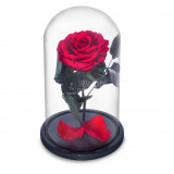 Cumpara ieftin Trandafir Criogenat rosu &Oslash;6,5cm in cupola sticla 10x20cm