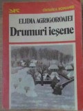 DRUMURI IESENE-ELIDIA AGRIGOROAIEI-228915