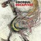 Cocosul decapitat