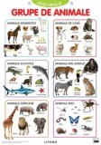 Descopera! Grupe de animale (planse educationale) - Litera